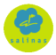 Salinas 