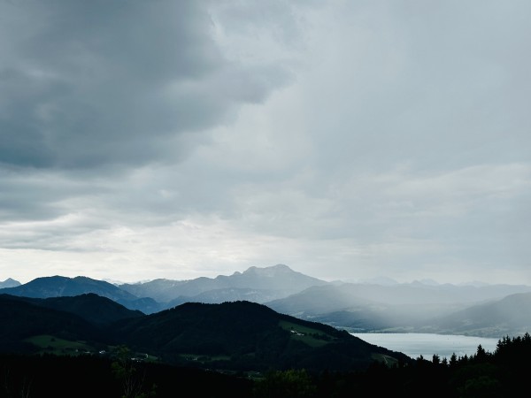 E7B879C7-AB26-4DBD-AAD0-CA341E8A70FA.jpeg