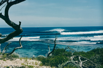 WA surf.jpg