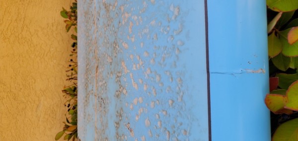 20220505_155623.jpg